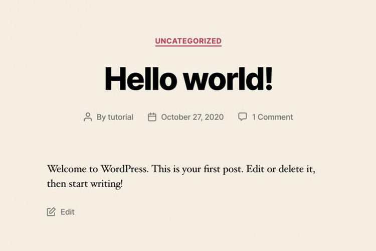 Wat kun je doen met WordPress